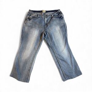 Earl Jeans Classic Blue Flare Denim